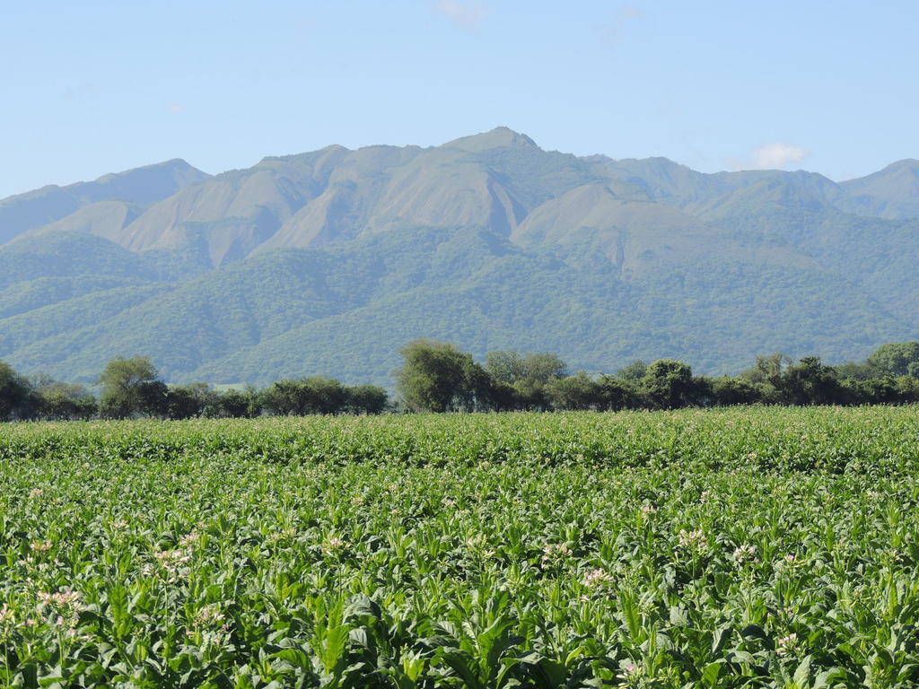 Finca Las Margaritas Chicoana Exteriér fotografie